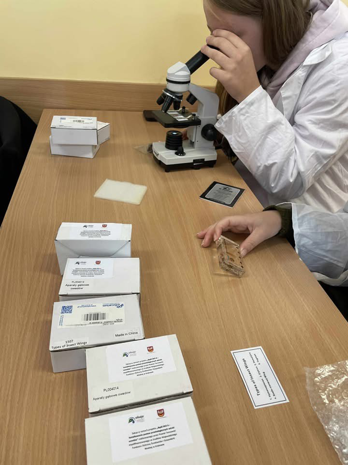 Osoba obserwująca próbki przez mikroskop. Na pierwszym planie widoczne są próbki umieszczone na szkiełkach mikroskopowych