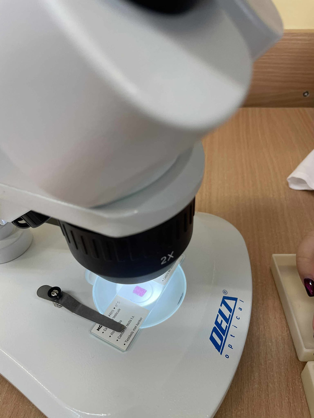 Zbliżenie na mikroskop laboratoryjny. Widoczne są szczegóły soczewek pokręteł do regulacji ostrości oraz części optyczne urządzenia