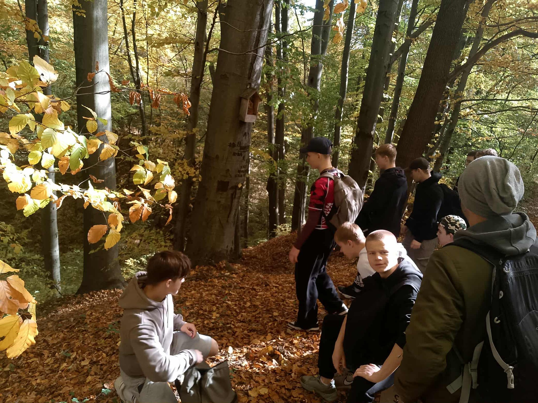Ta sama grupa znajduje się w lesie. Kilka osób stoi lub kuca na pokrytej liśćmi ziemi. W tle widać wysokie drzewa z żółtymi i zielonymi liśćmi. Atmosfera jest spokojna i jesienna.