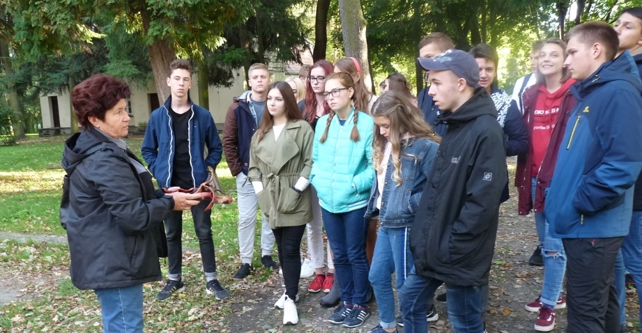 Poznajemy historię Wojnicza
