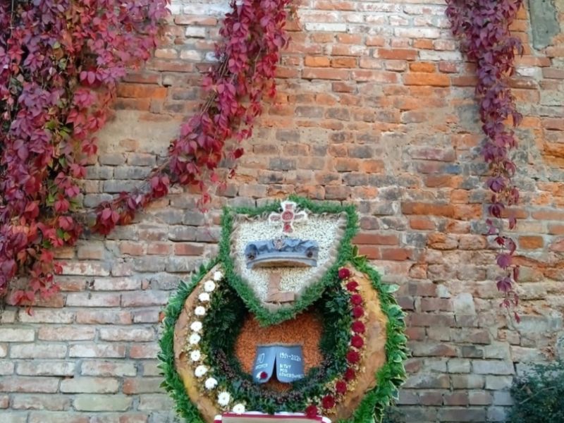 467025826 1074886714434987