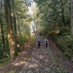 461654069 1039186014671724