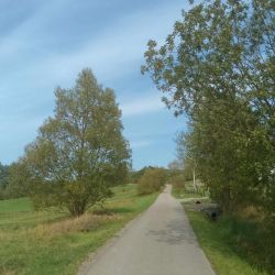 461783901 1039185874671738