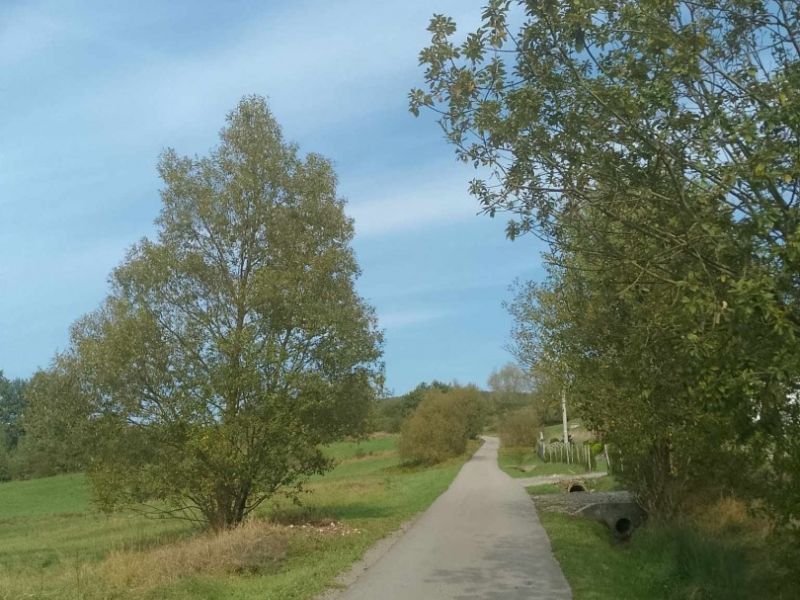 461783901 1039185874671738