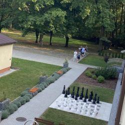 459050916 3538141656331197