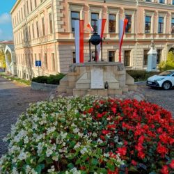 464936677 1064379772152348