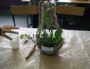dsc00144