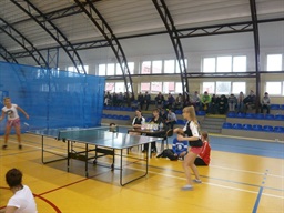 Tenis stołowy