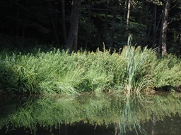 Program Natura 2000 — fotografia 5