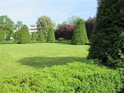 Ogród Botaniczny -Kraków — fotografia 8