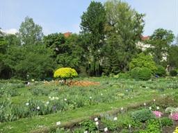 Ogród Botaniczny -Kraków — fotografia 11