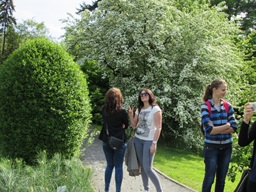 Ogród Botaniczny -Kraków — fotografia 12