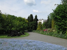 Ogród Botaniczny -Kraków — fotografia 26