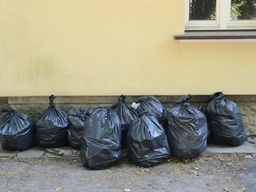 Sprzątanie Świata 2015 — fotografia 14