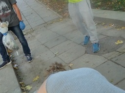Sprzątanie świata !!! — fotografia 62