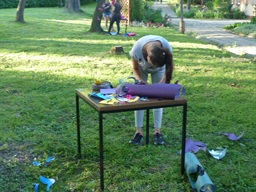 Zaczarowany ogród... — fotografia 14