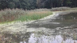 Wycieczka przedmiotowa z geografii