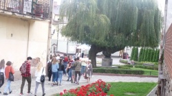2019/2020 Wycieczka do Tarnowa . — fotografia 43