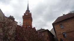 2019/2020 Wycieczka do Tarnowa . — fotografia 61