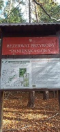 2022/2023 Rajd na Panieńską Górę — fotografia 14